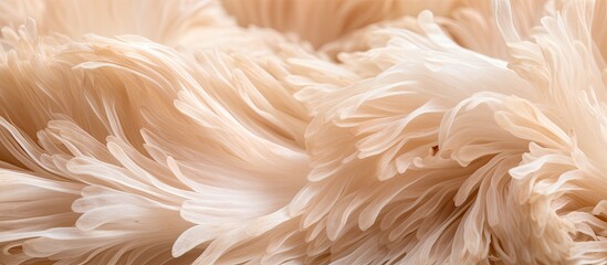 Close-up macro of freshly harvested Lion's Mane mushrooms background. - obrazy, fototapety, plakaty