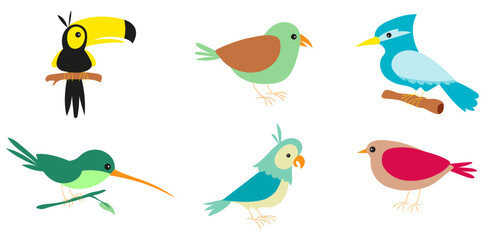 Various Cartoon Birds Vector, Funny Tropical Birds Illustration, Bright Flat Picture For Children. 

