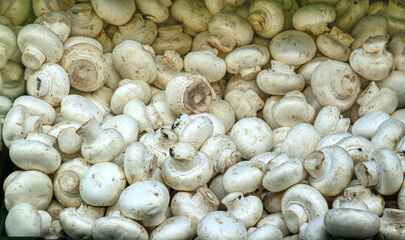 White champignons in a box at the market.