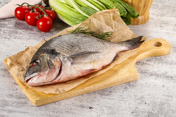 Raw dorada fish served rosemary