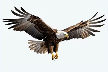 Poster Im Rahmen American Eagle is flying gracefully on a transparent background © muhmmad