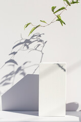 White podiums in sunlight with shadow of leaves. Showcase, Mockup.