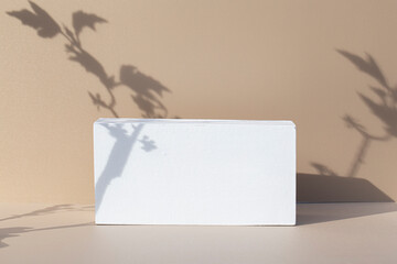 Beige pastel background for product presentation with shadow of plant leaves. Mockup.