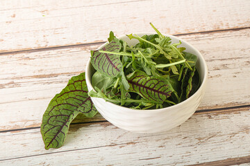 Green mix salad in the bowl