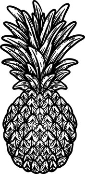 sketch pineapple