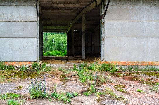 Abandoned feed mill near resettled village of Dronki in exclusion zone of Chernobyl nuclear power plant, Belarus