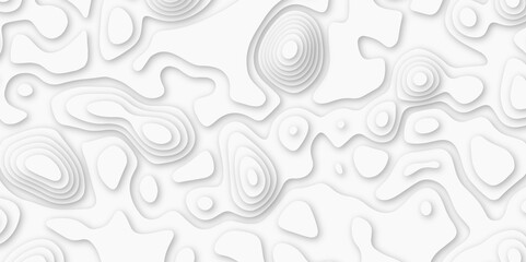 Topographic map. Geographic mountain relief Abstract topographic contours map on concept of a conditional geography. Vector illustration, Topo contour map on white background, - obrazy, fototapety, plakaty