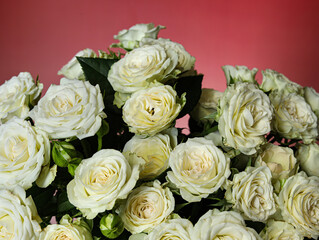 bouquet of white roses