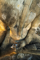 coins in a buddha hand