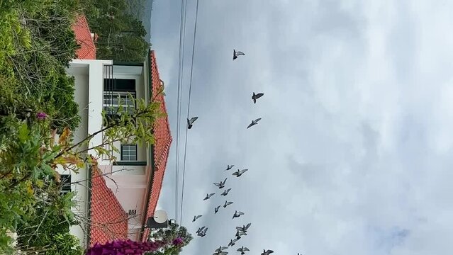A flock of birds flies over a yellow private house with a red roof in the mountains against the background of gray sky with blue clouds. High quality 4k footage