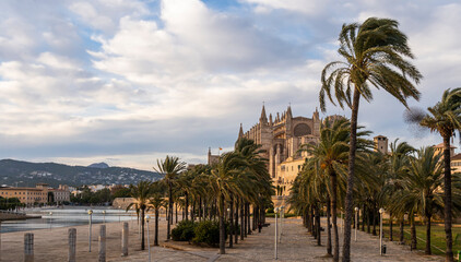 Cathedral of Palma de Mallorca at sunset in winter