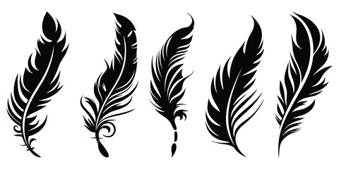 Bird Feather black silhouettes. Plumelet collection. Vector isolated on white - obrazy, fototapety, plakaty