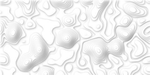 Topographic map. Geographic mountain relief Abstract topographic contours map on concept of a conditional geography. Vector illustration, Topo contour map on white background,