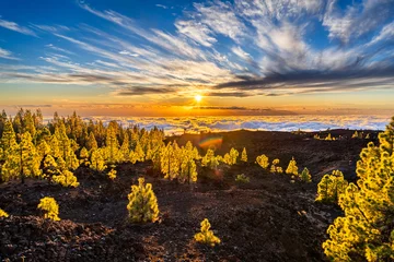 Crédence de cuisine en verre imprimé les îles Canaries Mount Teide, Tenerife, Spain. Lava rocks and trees in the National Park (Spanish: ‎⁨Parque Nacional del Teide⁩) at sundown.
