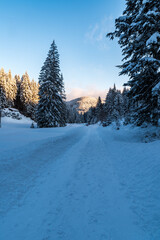 Freezing winter morning in Moravskoslezske Beskydy mountains above Moravka village in Czech republic