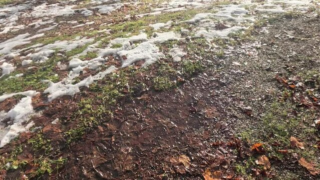 Melting snow with drops of water dripping