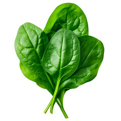 spinach leaves on a transparent background