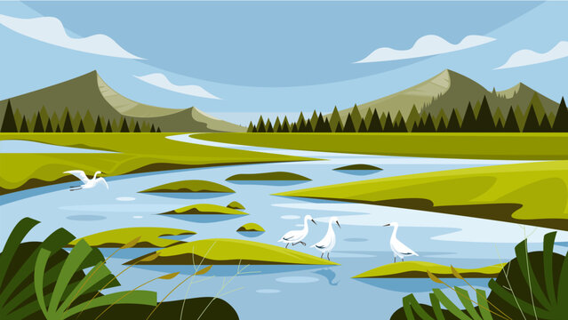 Wetland, swamp, wildlife landscape, vector illustration