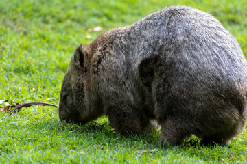 Taken in Queensland, Australia