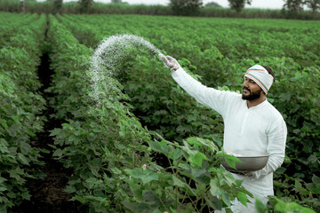 Indian farmer spreading fertilizer in the green cotton field © Ashutosh khandale