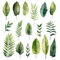 tropical watercolor leaves, a set of illustrations in handmade watercolor style on a white background, generative ai	