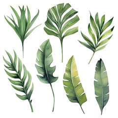 tropical watercolor leaves, a set of illustrations in handmade watercolor style on a white background, generative ai	