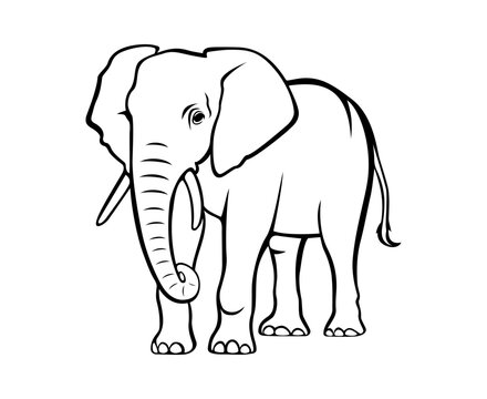 Elephant vector illustration. Animal world. Isolated flat style elephant figure on a white background. Elephant drawing.