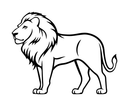 Lion icon vector illustration. Animal world. Isolated flat style lion figure on a white background. Lion drawing.