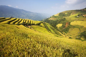 Papier Peint photo autocollant Mu Cang Chai Mu Cang Chai’s sheer rice terraces were sculpted over centuries of small-scale cultivation. Each season brings its own charm.