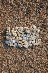 sea stones, shells and corals on sand, natural abstract background. esoteric practice for Harmony life, relaxation. Zen concept. top view. template for design. copy space