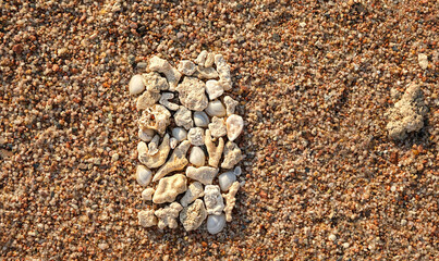 sea stones, shells and corals on sand close up, natural abstract background. esoteric practice for Harmony life, relaxation. Zen concept. top view. template for design. copy space