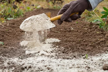 Photo sur Plexiglas Dolomites the grower strews dolomite flour on the plowed land