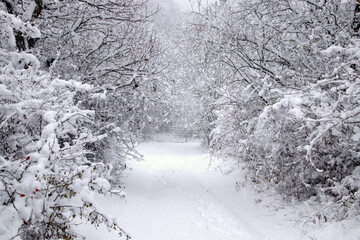 The snow falls from the sky just like Christmas