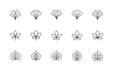 Leaf linear icons vector set. Nature symbols. Ginkgo biloba, chestnut, linden. Leaf linear icons on white background.