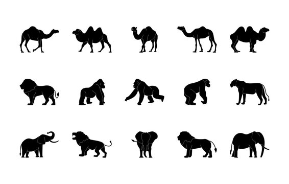 Animals silhouettes vector icons set. Isolated outline of animals camel, lion, gorilla, lioness, elephant on a white background. Vector animals symbol set.