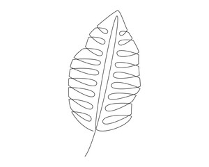 tropical leaf icon over white background, line style, vector illustration