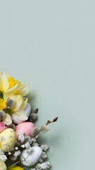 Daffodils, easter eggs and willow on green background with copy space. Easter greeting card...