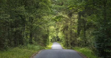 Fotobehang Road Crosssing a forest in Denmark © peresanz