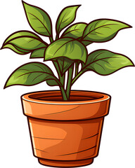 Plant pots, plants, flower pots