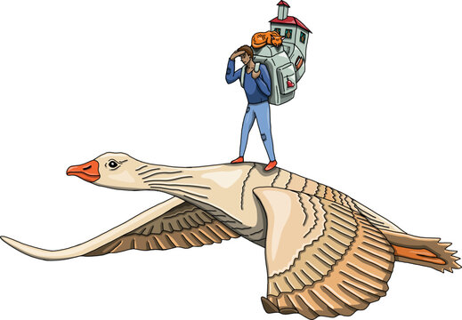 The man and swan immigrating, immigration