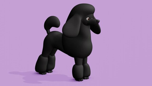 Black poodle dog. Abstract loop animation