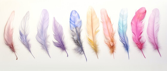 Set of  pastel colorful feathers. Layout, top view. horizontal mockup or wallpaper. Generative AI