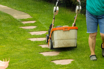 A gardener mowing the lawn using a mower with a basket in a small garden. - 694352767