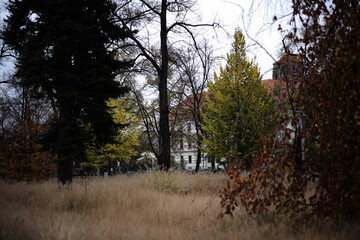 ヴロツワフの秋