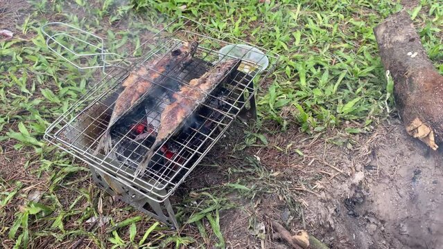 4k video footage of Someone grilling mackerel tuna fish during weekend camping outdoor activity. Concept for healthy eating, whole animal protein, diet menu.