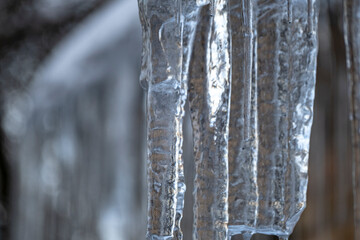 Close up of a large icicles with more melting icicles beside
