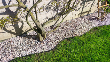  Vibrant green lawn lined with decorative garden pebbles. - obrazy, fototapety, plakaty