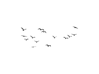 Group of  flying bird make with vector