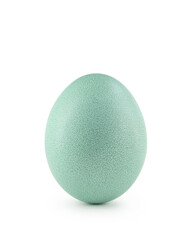 teal easter egg isolated on white background