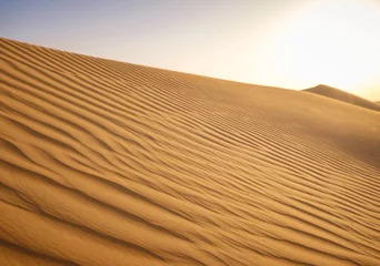 Tuinposter Fantastic view of Landscape with Sand Dune at sunset, Liwa Oasis, Abu Dhabi, UAE. Water crisis and World Climate change. © YURII Seleznov